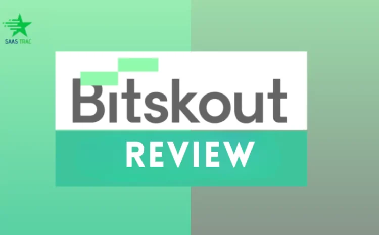 bitskout-review